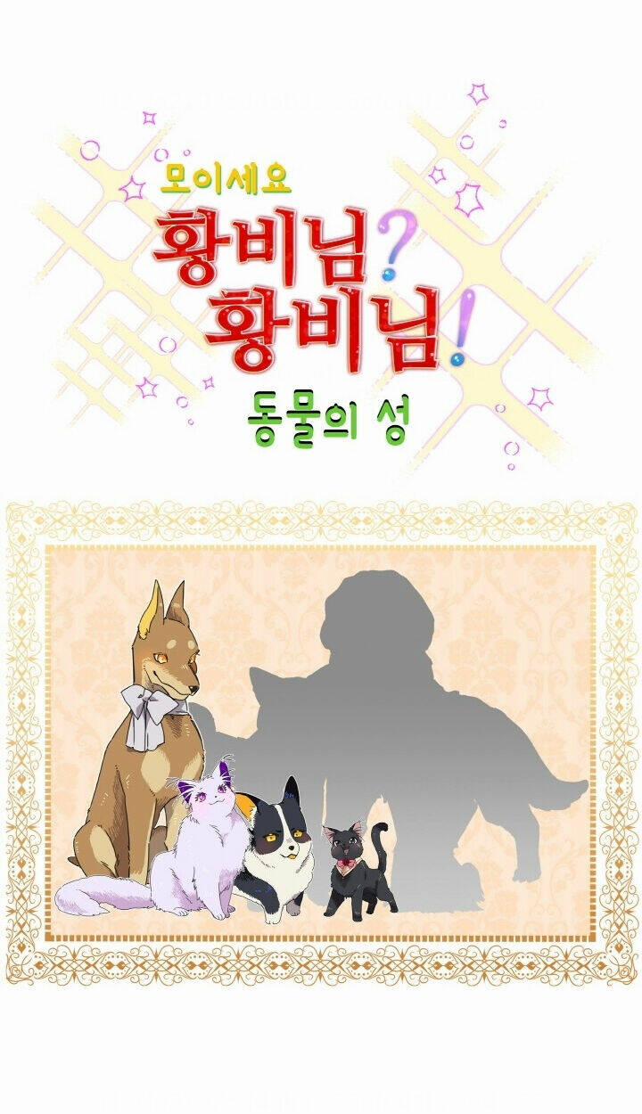 Tôi Không Muốn Trở Thành Nữ Hoàng 37 trang 51