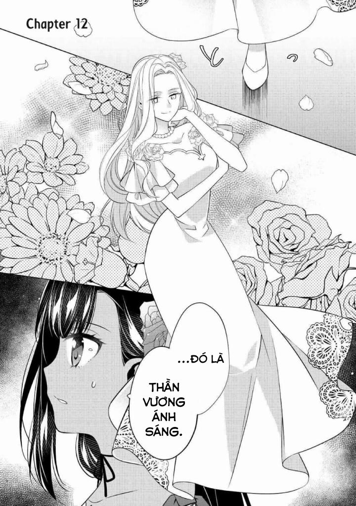 Tôi Không Phải Ác Nữ~!! Chỉ Vì Tôi Có Thể Sử Dụng Sức Mạnh Bóng Tối Không Có Nghĩa Tôi Là Kẻ Xấu! 12.1 trang 1