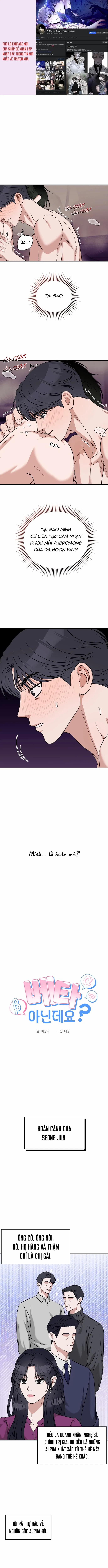 Tôi Không Phải Beta Đâu Nhé! 2 trang 0