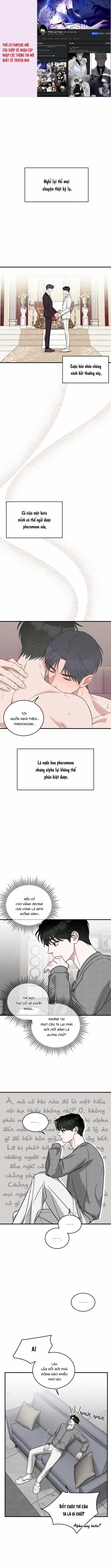 Tôi Không Phải Beta Đâu Nhé! 4 trang 0