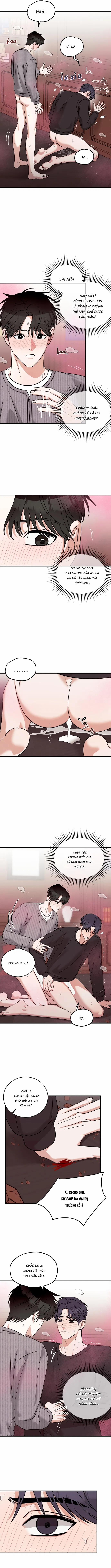 Tôi Không Phải Beta Đâu Nhé! 4 trang 7