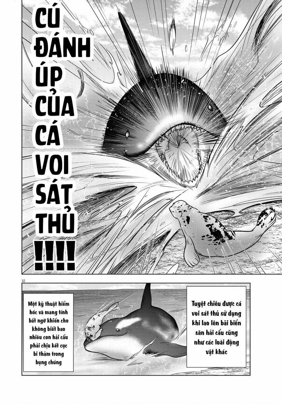 Tôi Không Phải Miếng Mồi Ngon Của Mấy Người! 12 trang 30