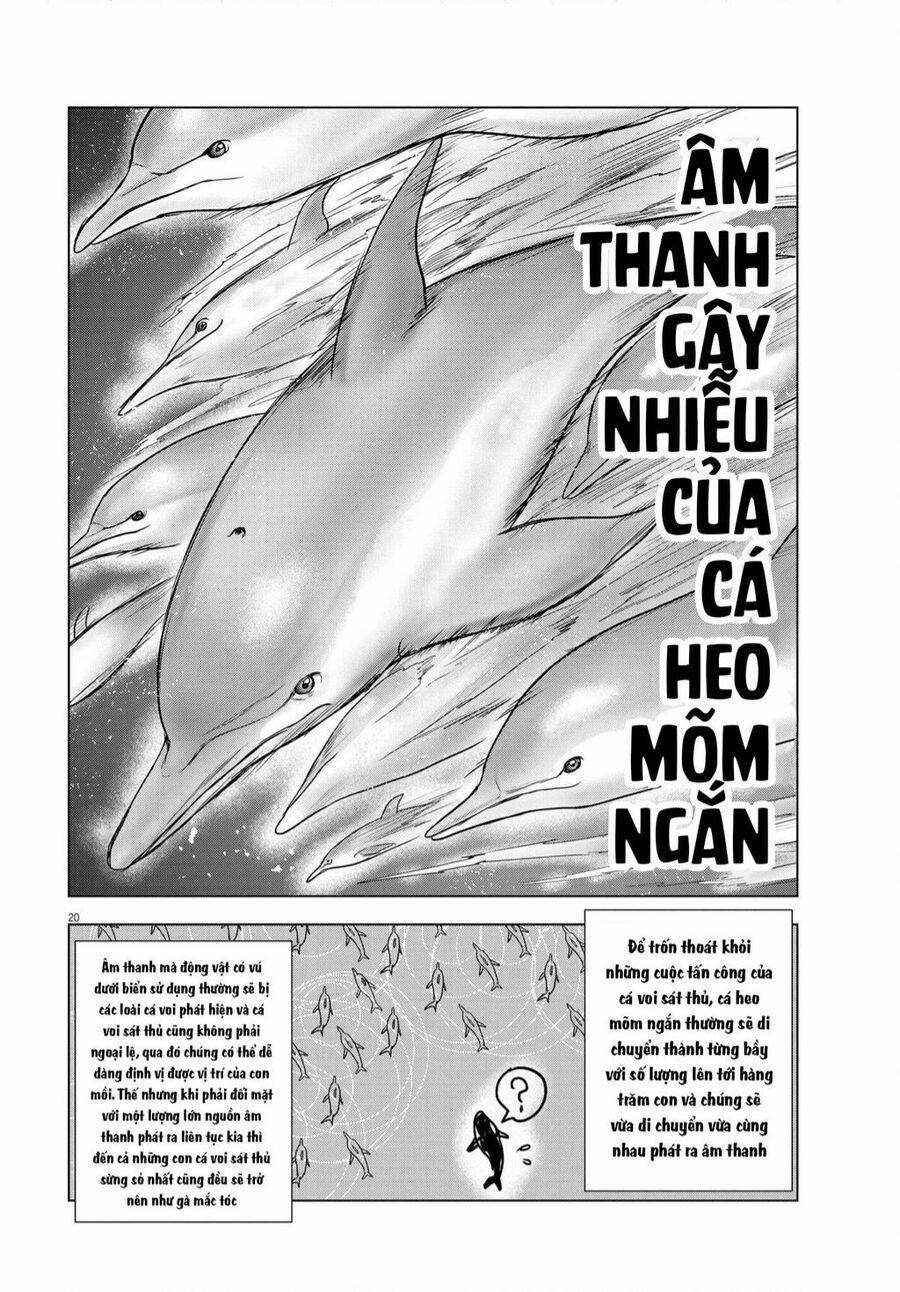 Tôi Không Phải Miếng Mồi Ngon Của Mấy Người! 13 trang 17