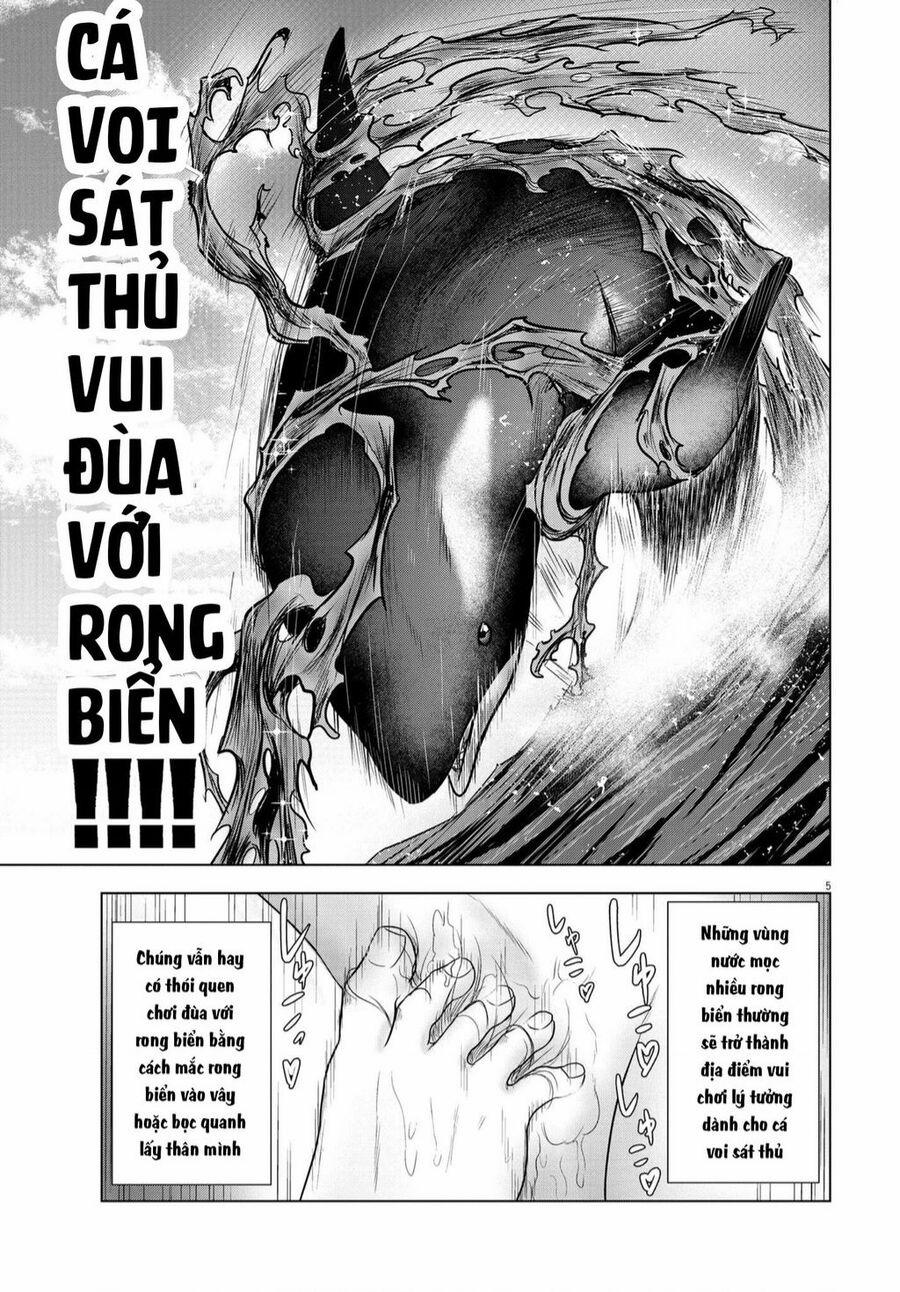 Tôi Không Phải Miếng Mồi Ngon Của Mấy Người! 13 trang 4