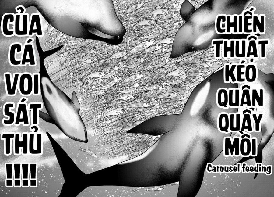 Tôi Không Phải Miếng Mồi Ngon Của Mấy Người! 13 trang 9