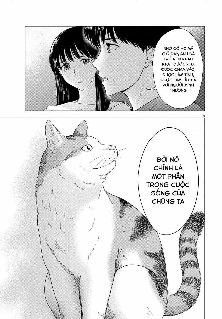 Tôi Không Phải Miếng Mồi Ngon Của Mấy Người! 14 trang 19