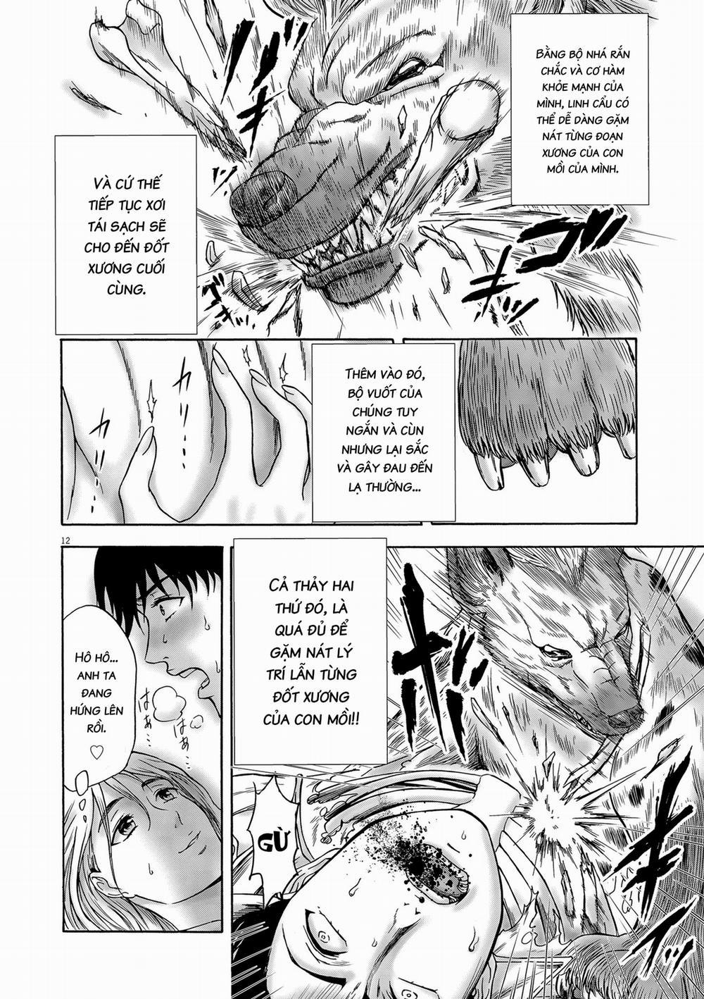 Tôi Không Phải Miếng Mồi Ngon Của Mấy Người! 3 trang 13