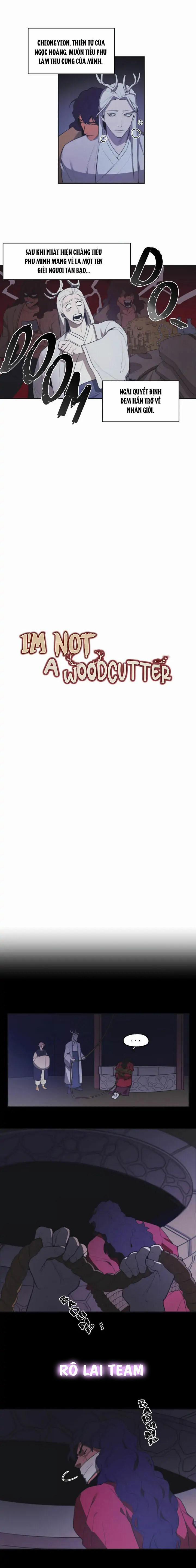 Tôi Không Phải Tiều Phu! 4 trang 0