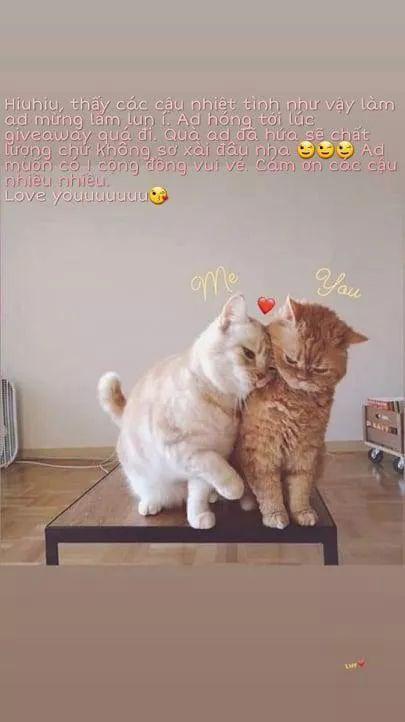 Tôi Là Con Gái Của Gia Đình Này 24.2 trang 32