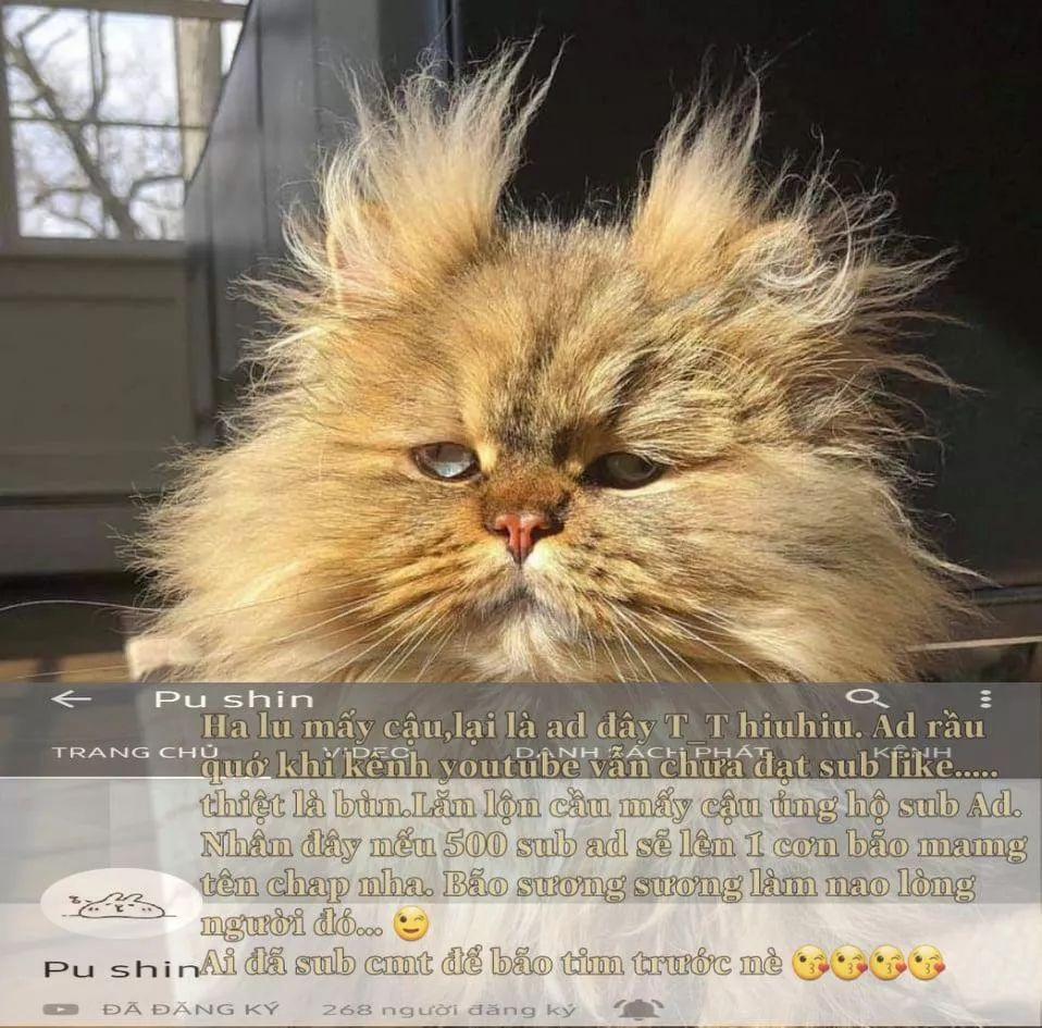 Tôi Là Con Gái Của Gia Đình Này 26.1 trang 24