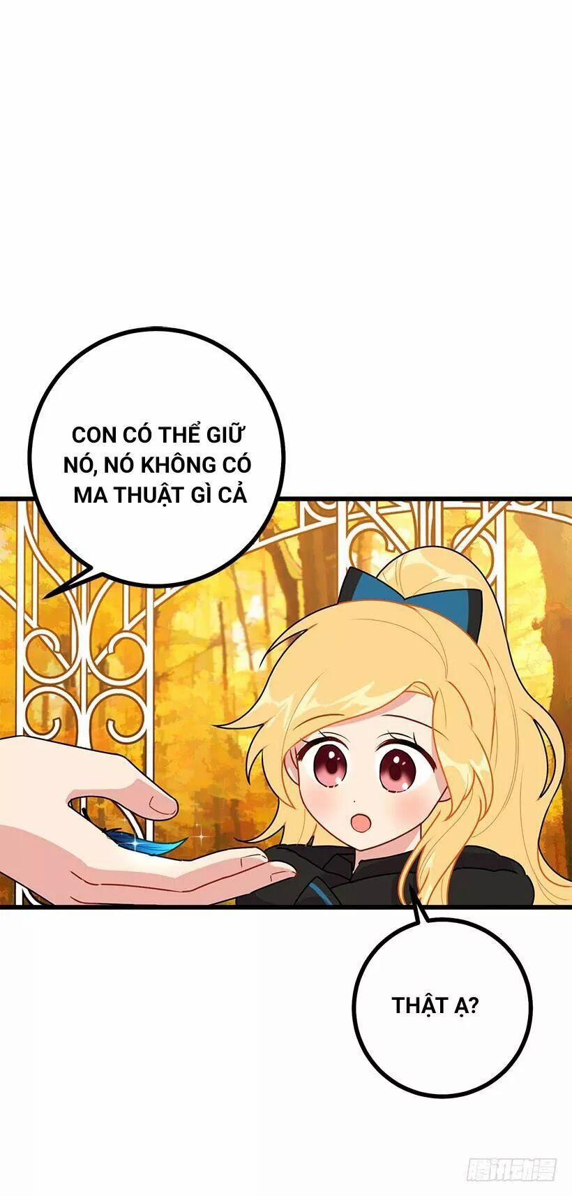 Tôi Là Con Gái Của Gia Đình Này 61 trang 17