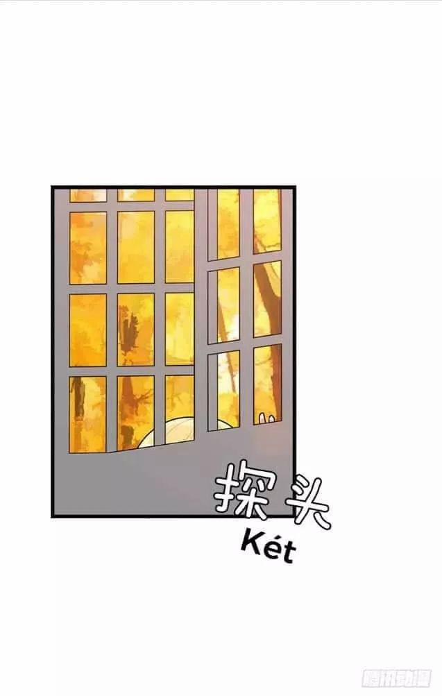 Tôi Là Con Gái Của Gia Đình Này 62 trang 4