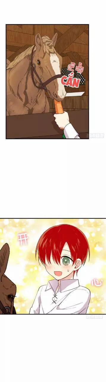 Tôi Là Con Gái Của Gia Đình Này 94 trang 17