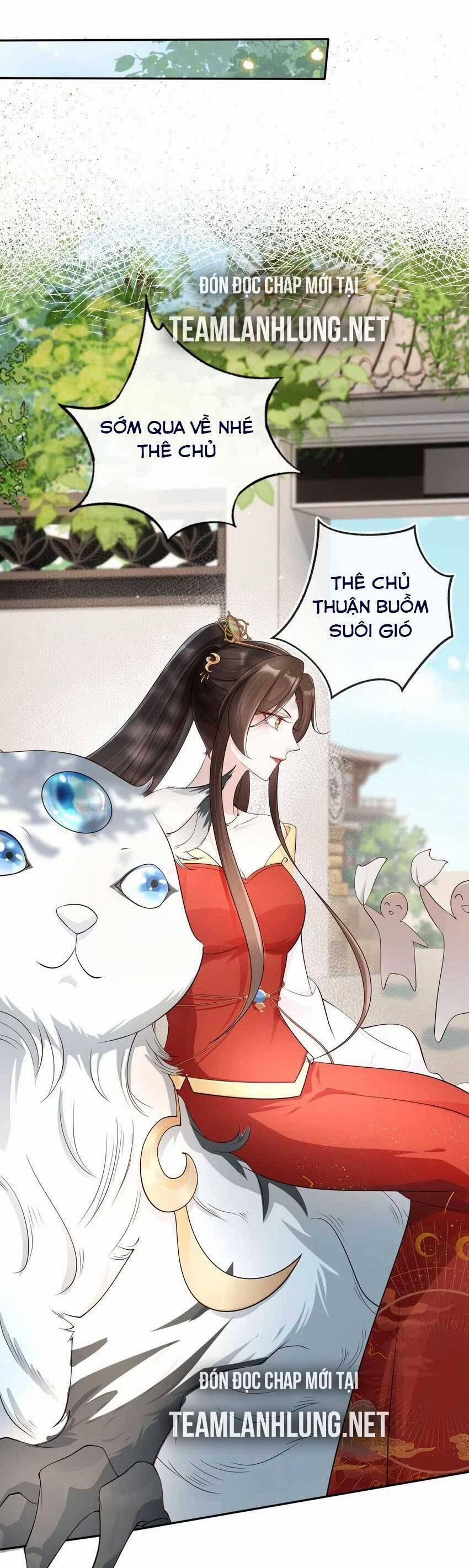 Tôi Là Đệ Nhất Hắc Nguyệt Quang Của Tu Chân Giới 35 trang 16