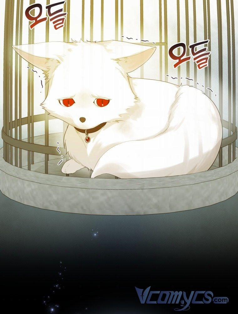 Tôi Là Em Gái Của Nam Chính Tiểu Thuyết BL 11 trang 1