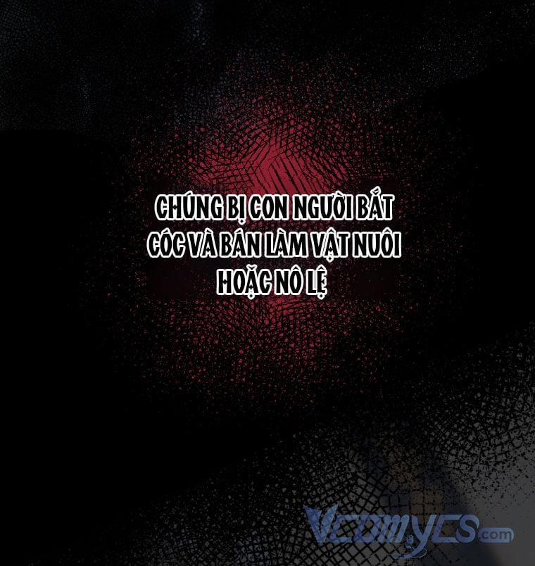 Tôi Là Em Gái Của Nam Chính Tiểu Thuyết BL 11 trang 12