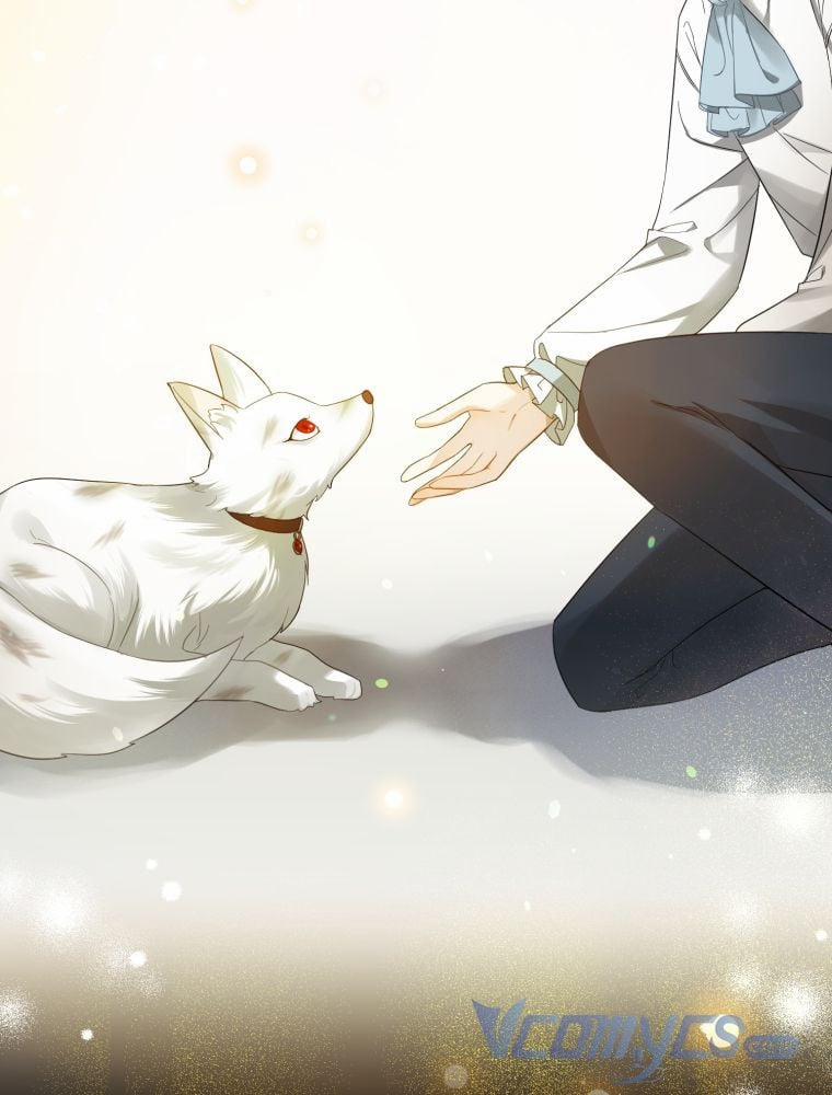 Tôi Là Em Gái Của Nam Chính Tiểu Thuyết BL 11 trang 18