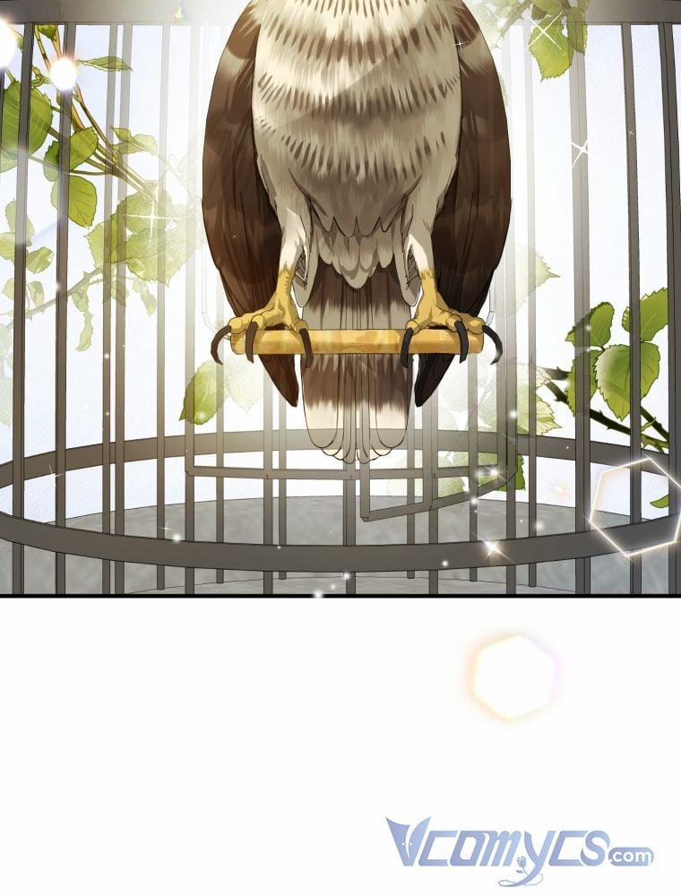 Tôi Là Em Gái Của Nam Chính Tiểu Thuyết BL 11 trang 50