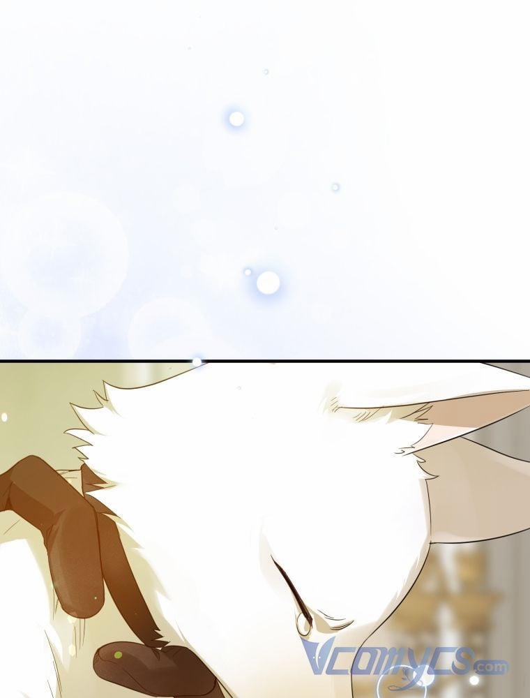 Tôi Là Em Gái Của Nam Chính Tiểu Thuyết BL 12 trang 29