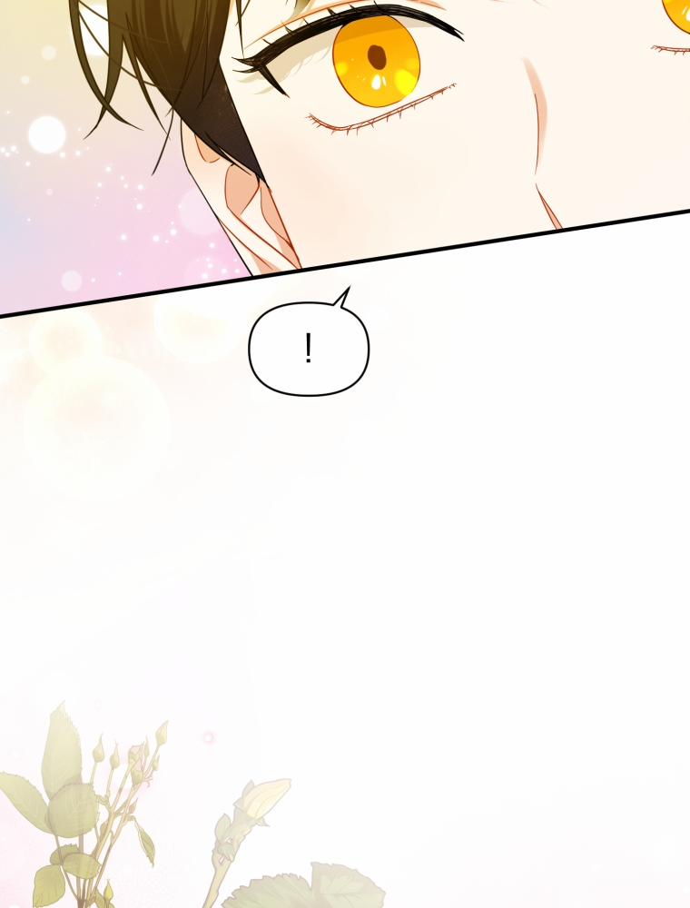 Tôi Là Em Gái Của Nam Chính Tiểu Thuyết BL 13 trang 3