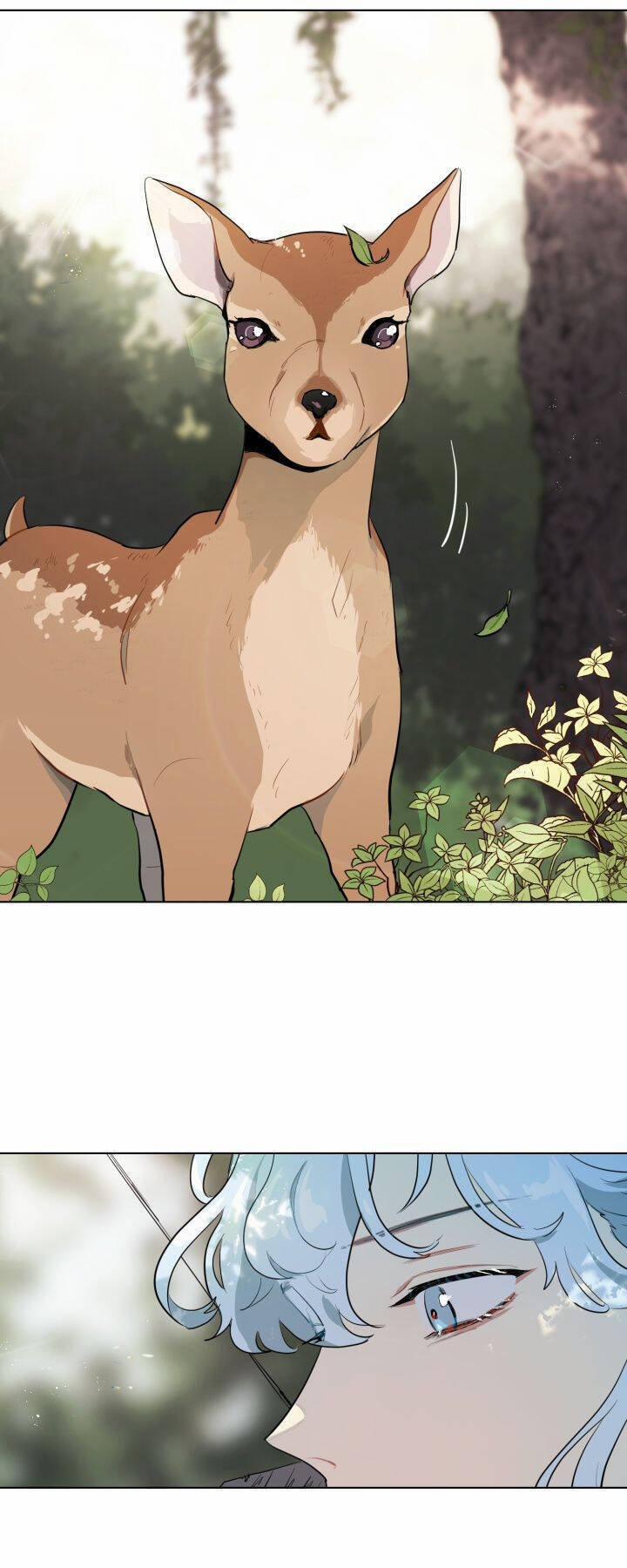 Tôi Là Fan Cứng Của Hoàng Tử 28 trang 16