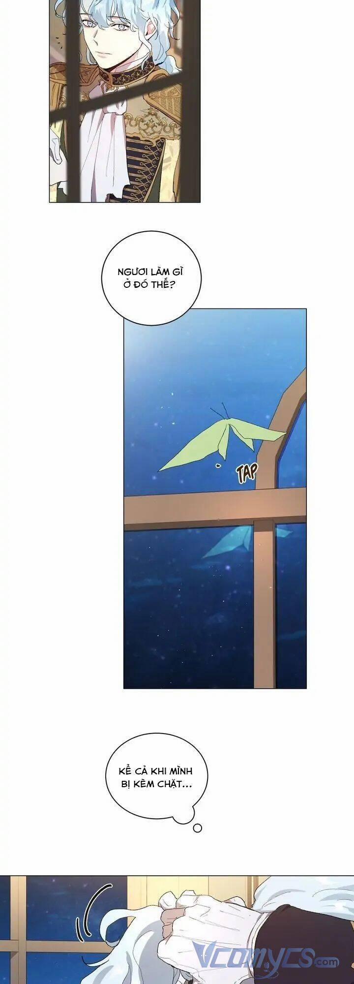 Tôi Là Fan Cứng Của Hoàng Tử 54 trang 19