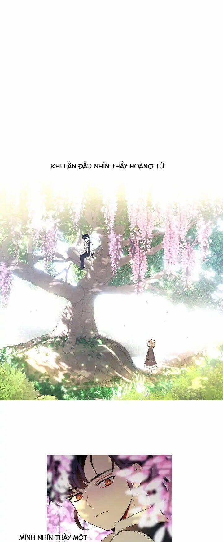 Tôi Là Fan Cứng Của Hoàng Tử 56 trang 30