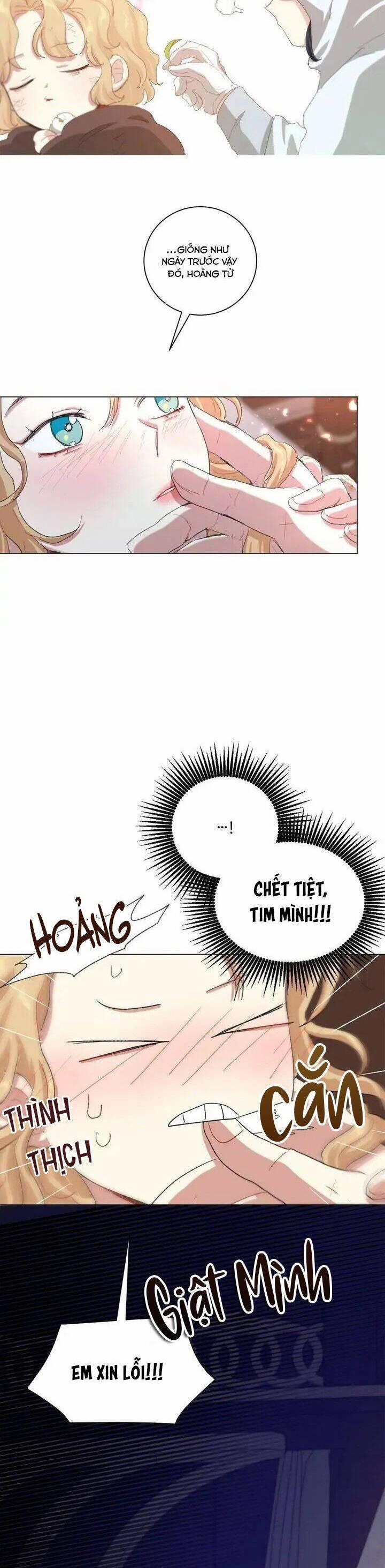 Tôi Là Fan Cứng Của Hoàng Tử 63 trang 24