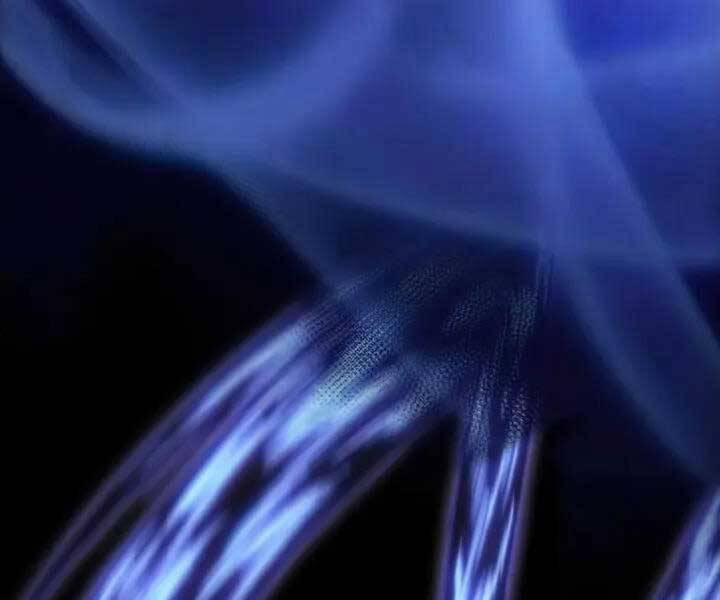 Tôi Là Tân Thủ Có Cấp Cao Nhất 65 trang 210