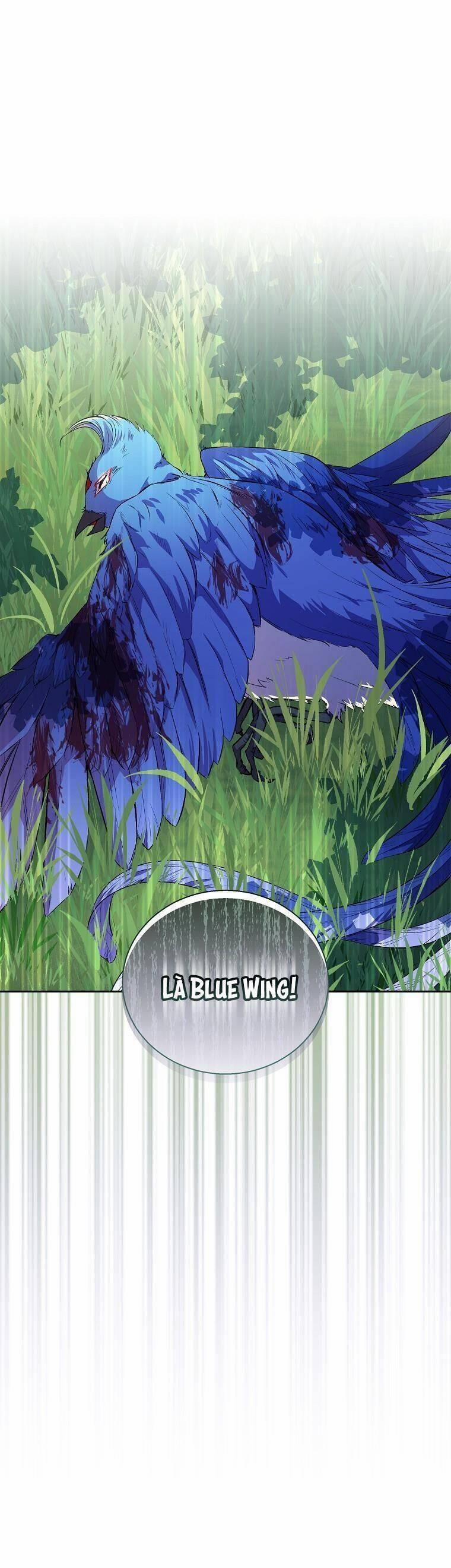 Tôi Là Thánh Nữ Giả Mạo Nhưng Các Thần Lại Ám Ảnh Tôi 14 trang 14