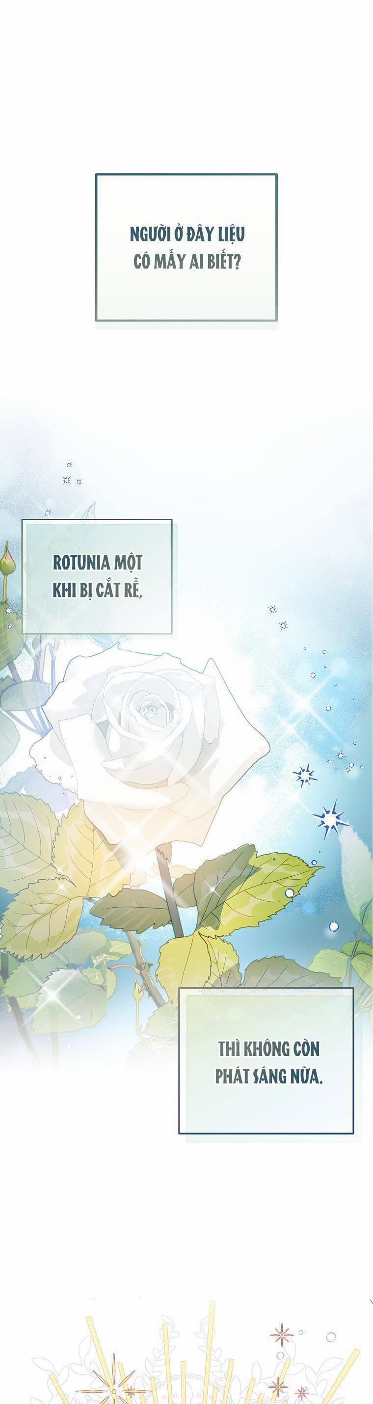 Tôi Là Thánh Nữ Giả Mạo Nhưng Các Thần Lại Ám Ảnh Tôi 35 trang 1