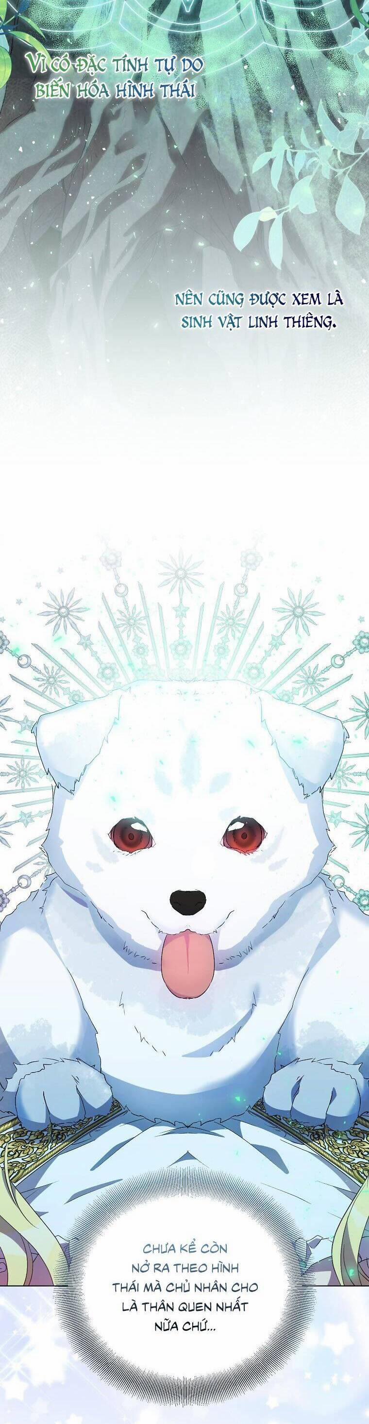 Tôi Là Thánh Nữ Giả Mạo Nhưng Các Thần Lại Ám Ảnh Tôi 54 trang 11