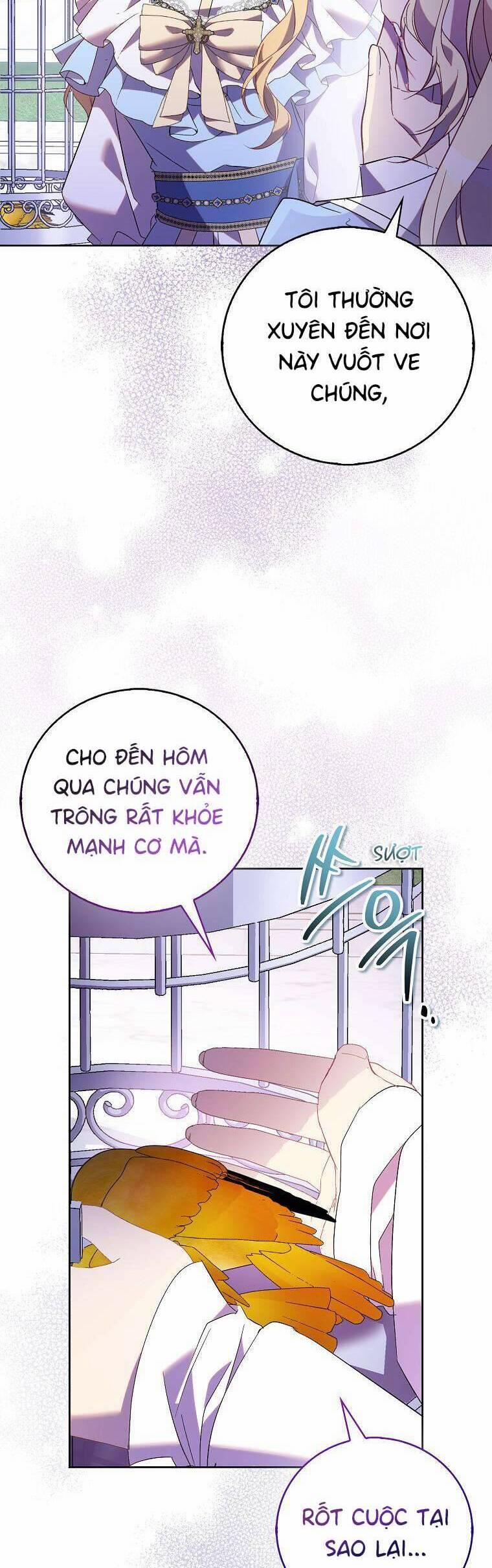 Tôi Là Thánh Nữ Giả Mạo Nhưng Các Thần Lại Ám Ảnh Tôi 69 trang 14