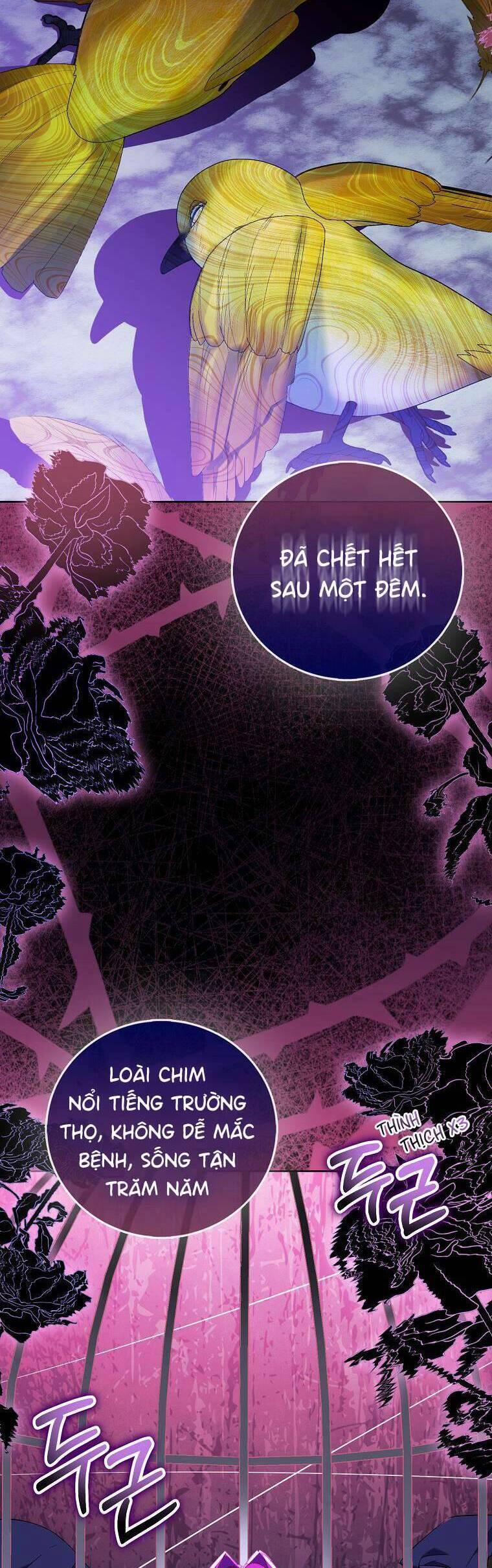 Tôi Là Thánh Nữ Giả Mạo Nhưng Các Thần Lại Ám Ảnh Tôi 69 trang 9