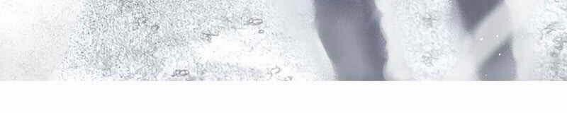 Tôi Là Thợ Săn Có Kĩ Năng Tự Sát Cấp Sss 54 trang 91