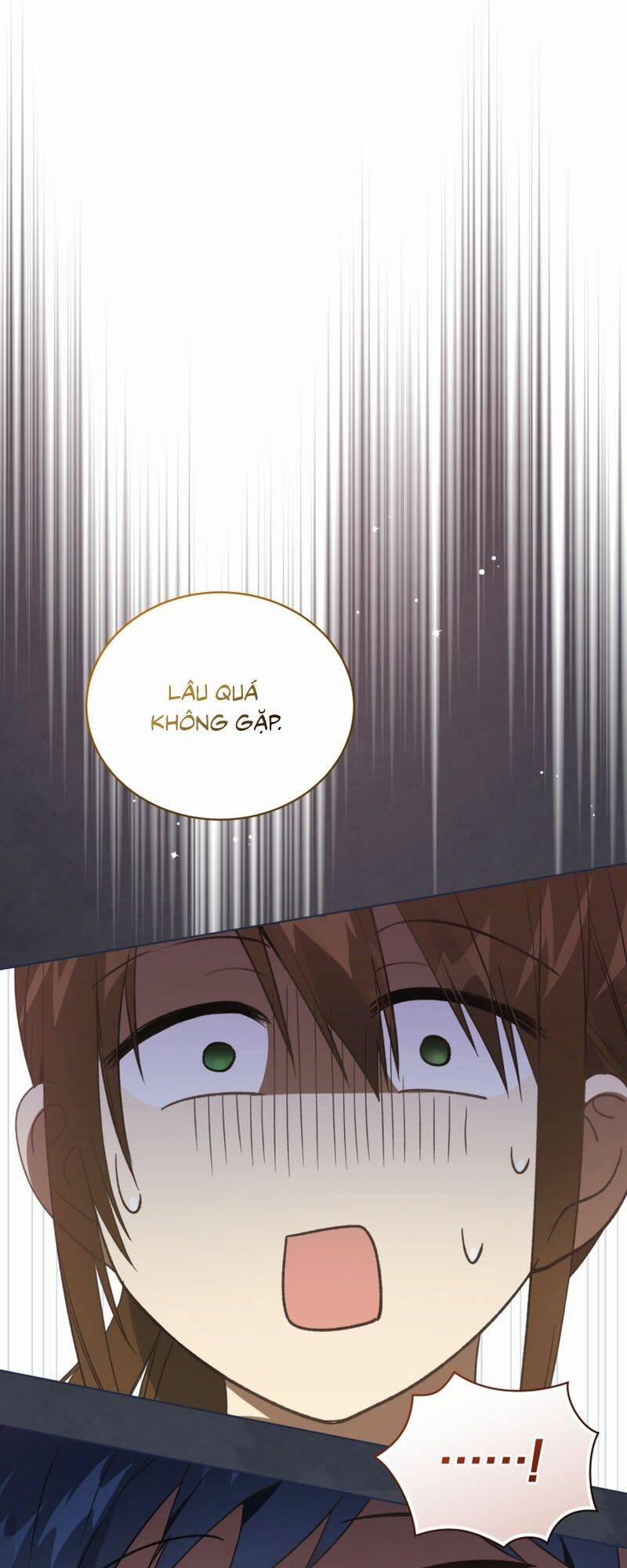 Tôi Là Vị Hôn Thê Của Nam Phụ Phản Diện 28 trang 8