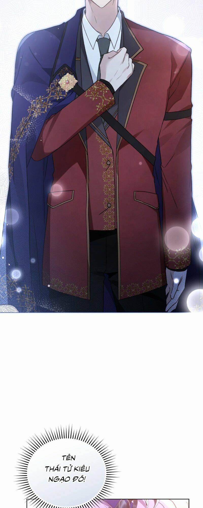 Tôi Là Vị Hôn Thê Của Nam Phụ Phản Diện 29 trang 41