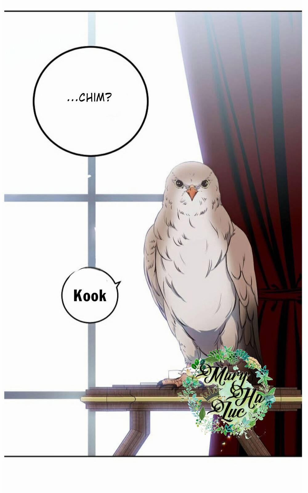 Tôi Lạc Vào Thế Giới Trò Chơi Harem Ngược 21 trang 17