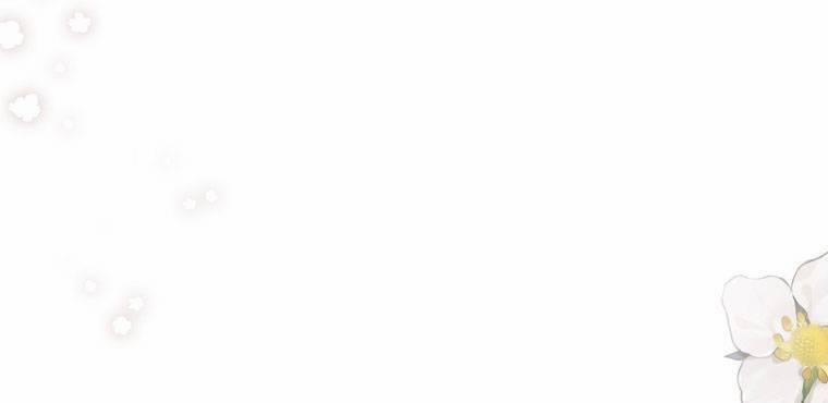 Tôi Lạc Vào Thế Giới Trò Chơi Harem Ngược 92.2 trang 29