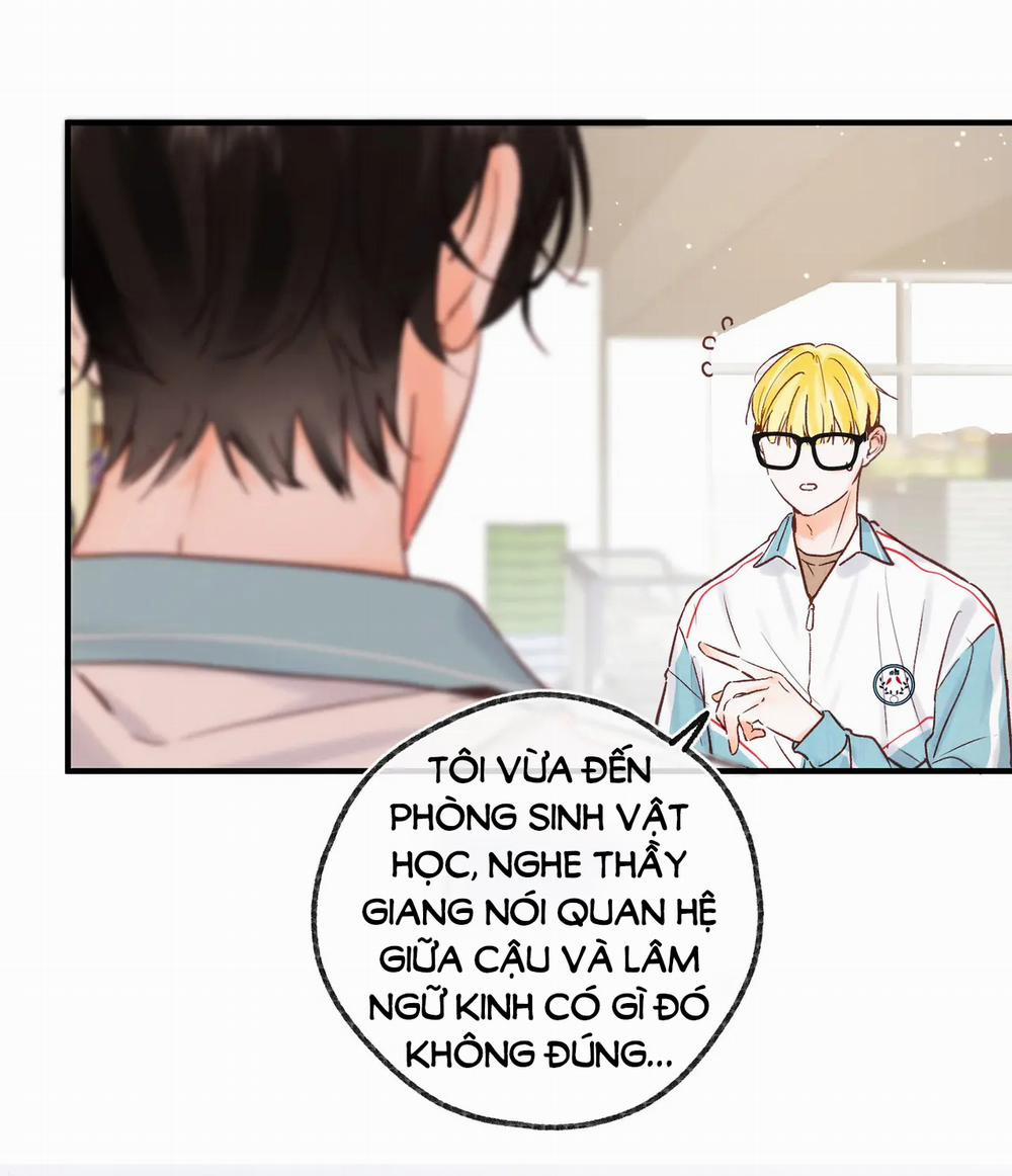 Tôi Mơ Giữa Ban Ngày 33.2 trang 0