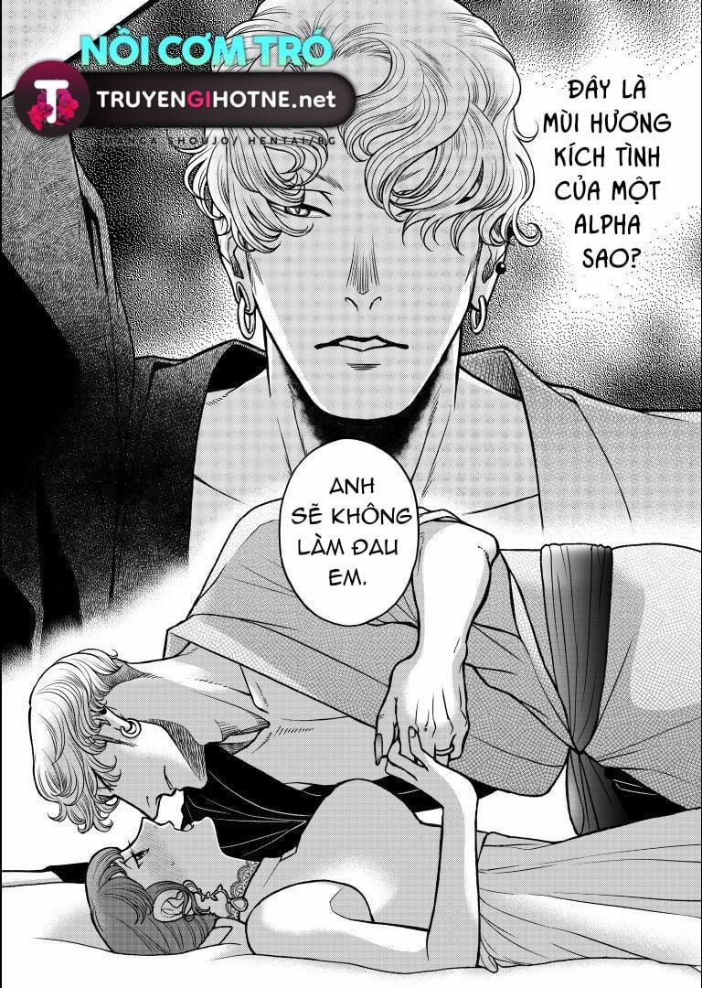 Tôi – Một Omega Hướng Nội Đã Kết Đôi Với Một Alpha Côn Đồ 3 trang 16