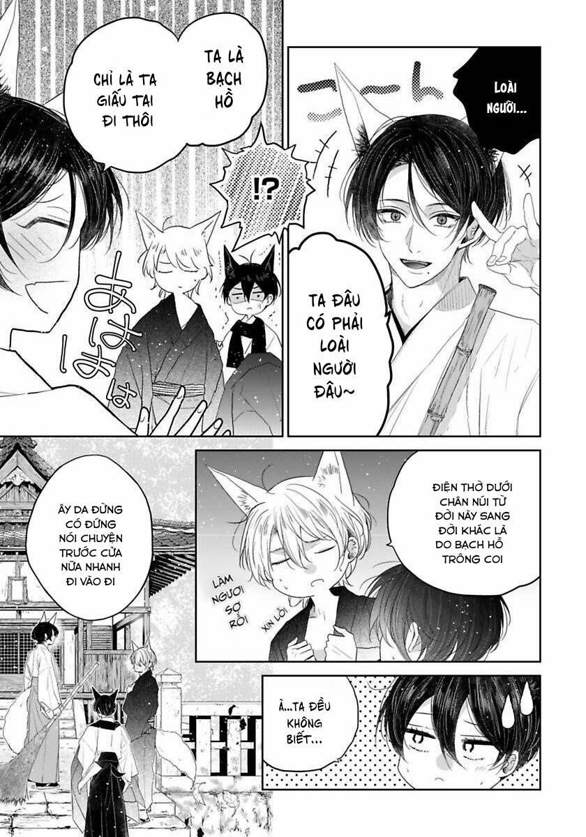 Tôi muốn cưới em, cáo con! 4 trang 5