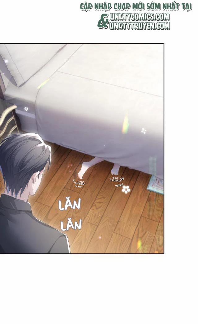 Tôi Muốn Ly Hôn 15 trang 2