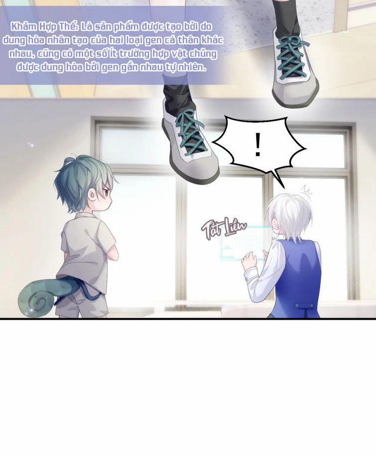 Tôi Muốn Ly Hôn 33 trang 12