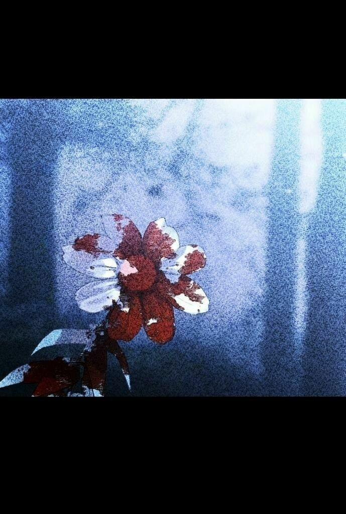 Tôi Muốn Trở Thành Cô Ấy Chỉ Một Ngày 38 trang 0