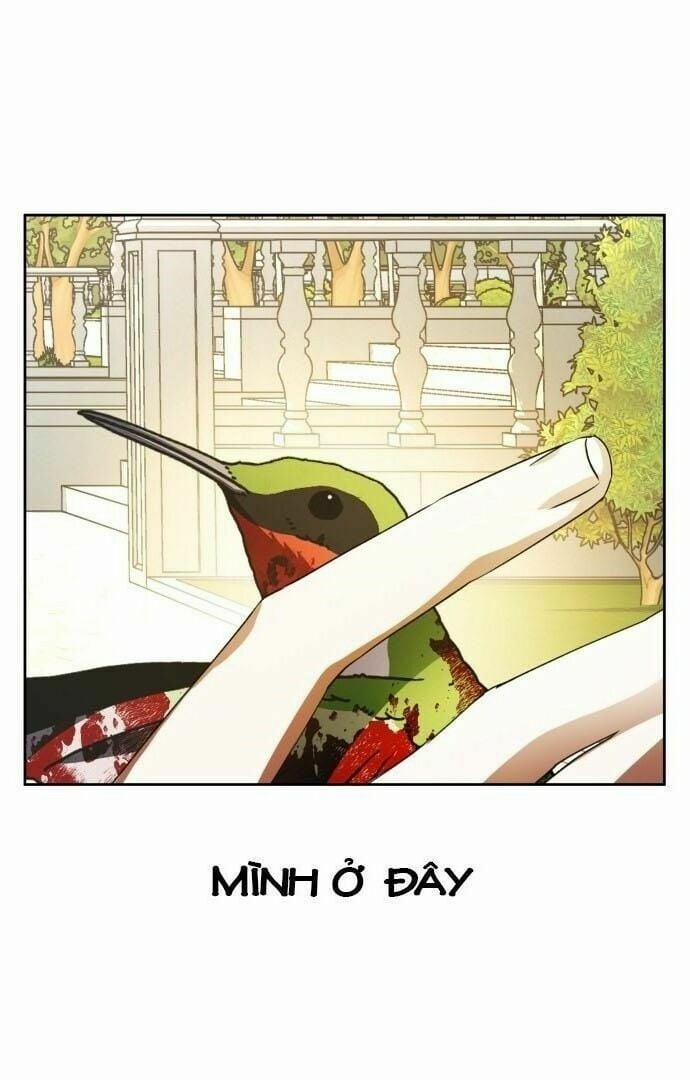 Tôi Muốn Trở Thành Cô Ấy Chỉ Một Ngày 40 trang 13