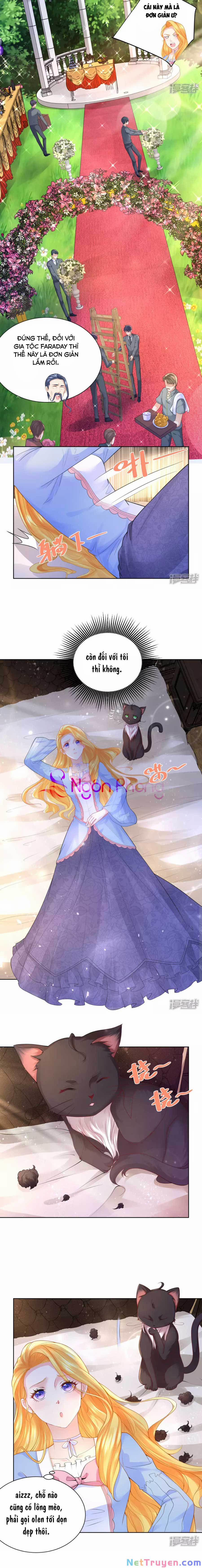 Tôi Muốn Trở Thành Tiểu Thư Công Tước Phế Vật 122 trang 5