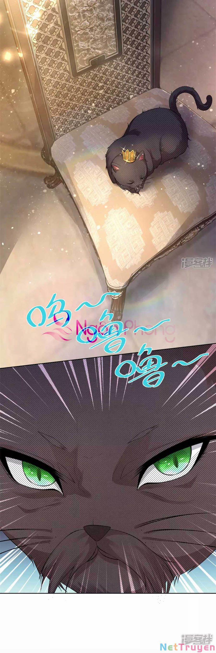 Tôi Muốn Trở Thành Tiểu Thư Công Tước Phế Vật 128 trang 9