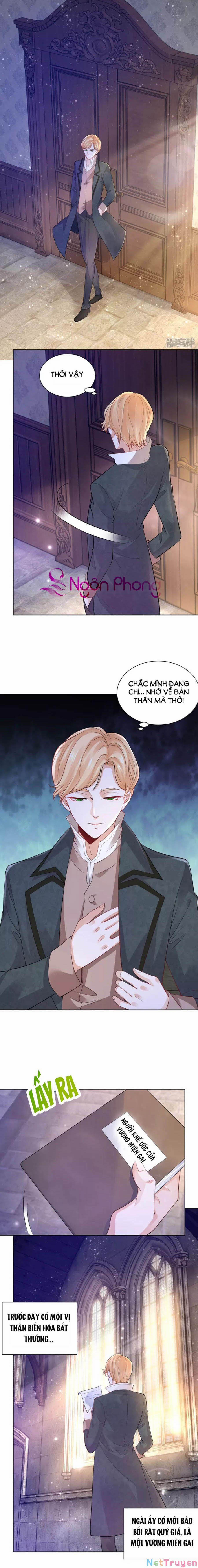 Tôi Muốn Trở Thành Tiểu Thư Công Tước Phế Vật 143 trang 0