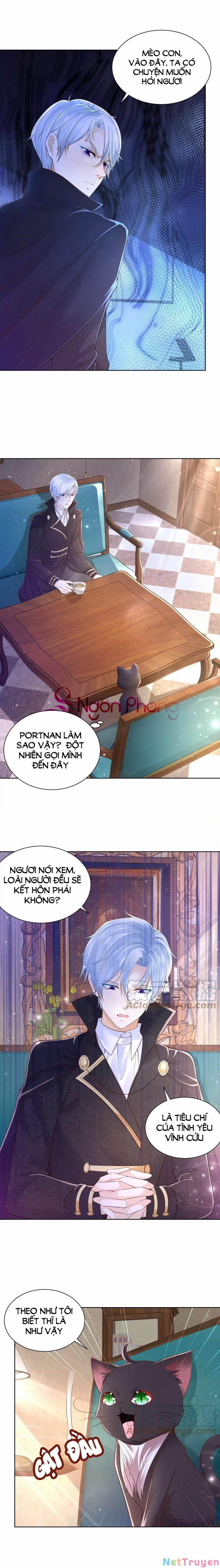 Tôi Muốn Trở Thành Tiểu Thư Công Tước Phế Vật 153 trang 1